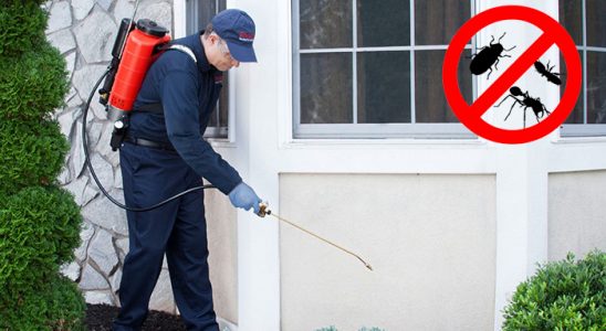 Gökdere Gümüşkurt İlaçlama böcek ilaçlama ve haşere kontrolü — ilaclama-tr.com